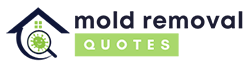 Brooksville Mold Removal